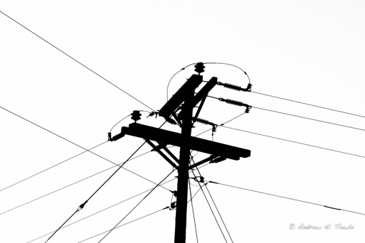 Kodalith Pole Wires
